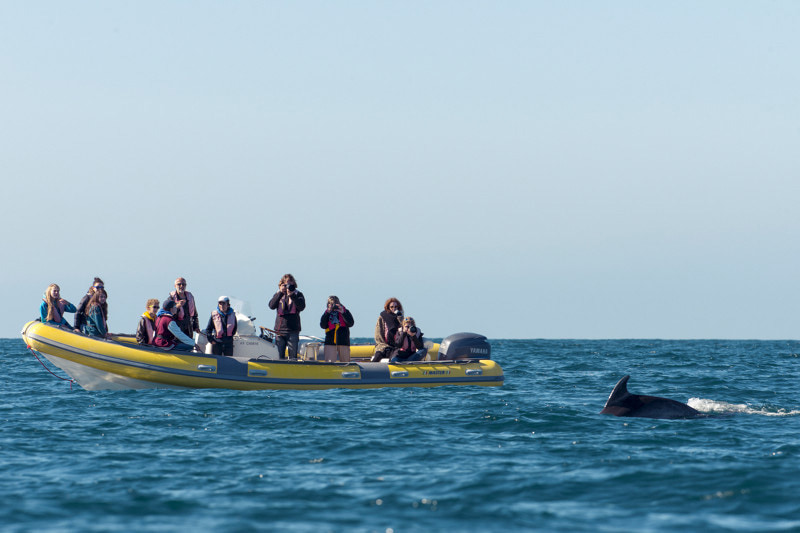étudiant bateau
